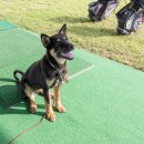 해비치민박 이미지