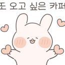 리암스 이미지