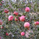 지리산 하늘아래 이미지