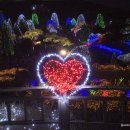 별빛정원B 이미지