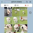 놀러오개 서대문점 이미지