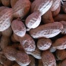 명산농장 이미지