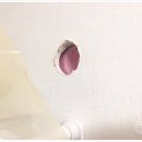 천안불당LH1단지아파트 이미지