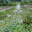 고읍 제2어린이공원 이미지