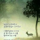인성 이미지