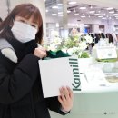 올리브영 고보습 핸드크림 목동현대백화점 팝업스토어
