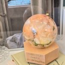 블루밍 플라워 앤 가든 이미지