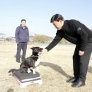 청석공원 이미지