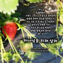 PICTURE&TEXT_20230108_로마서 7장 4절_하나님을 위해 살라_주현절 후 첫 번째 주일&주님의 수세 주일 묵상_밀양 딸기 이미지