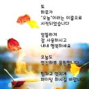 타이어명가티스테이션