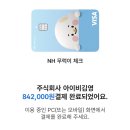학점은행제로 사회복지사 2급 취득하기 #1 | 김영평생교육원 상담 후기