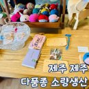 다품종소량생산 | 제주 구좌 소품샵 다품종소량생산