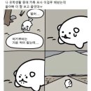 홍일농장 | UM 정권찌르기 5주차