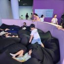 티앤티태권도장 이미지