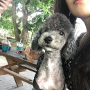 도담유통
