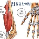 올곧한의원 이미지