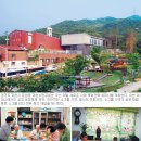과천소망교회