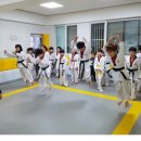 국가대표유비태권도장 Daum카페