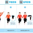 건강 스트레칭 체조 이미지