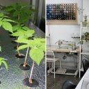 ㈜아늑한 이미지