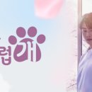 사랑스럽개 이미지