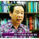 어성초의 놀라운 효능 이미지