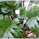 대경 건축사사무소 이미지