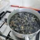 갯마을민박 이미지