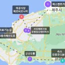 [제주도 6박 7일] 한 번쯤은 가볼 만한 아르떼뮤지엄, 물회 맛집 태공식당