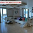 센텀1로 이미지