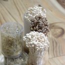 용광농장 이미지