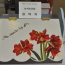 무등장애인자립생활센터 이미지