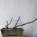 소사3로 이미지