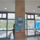 대포항식당 이미지