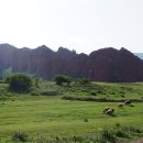 붉은황소 이미지