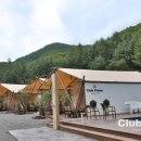 클럽프리모 이미지