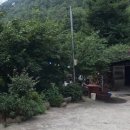 구례흑염소 이미지