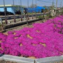 은포4리 마을회관 이미지