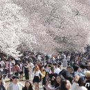 진해구 ⓒ-28 이미지