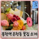 커들리블라썸 이미지