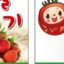 손오공청과 이미지