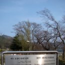 호명천 이미지