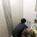 신월동247 이미지