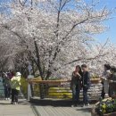 양재천 수변무대3 이미지