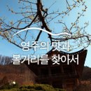 영주의 맛과 볼거리를 찾아서 :: 영주 가볼 만한 곳 영주여행