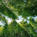 (주)길여행사 이미지