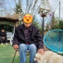 김해시치매안심센터 | [공지] 김해 장유 마음편한주야간보호센터,마당이 특별한 이유