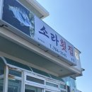 소라횟집 | [제주/구좌맛집] 해안도로 근처에 위치한 활전복우럭 매운탕맛집 소라횟집 후기