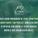 암사동물병원 이미지