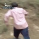 고망고 이미지